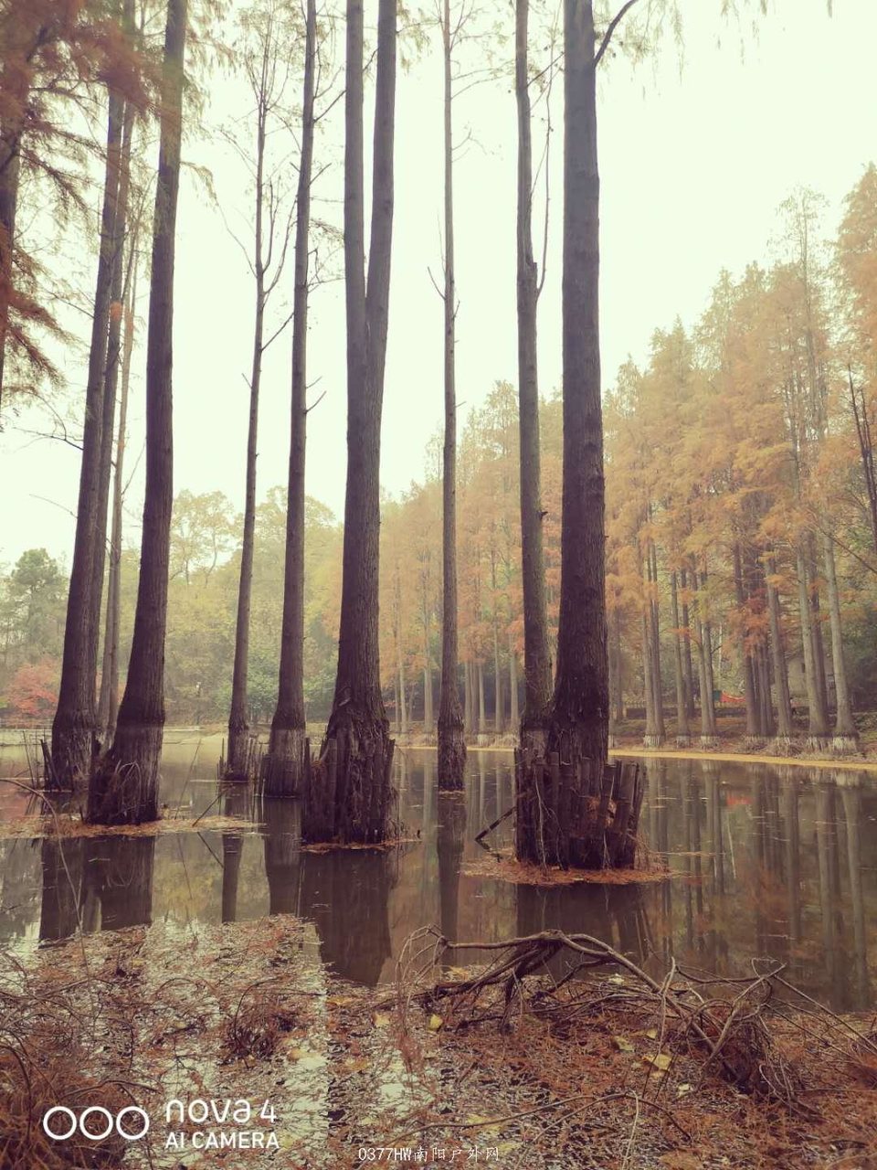 yz8a60SlfsJVF2NgyHTscZnhdPZ4MonnwCCAs7QuZp-6gLFsP7m5caV-eHhgfZ9V