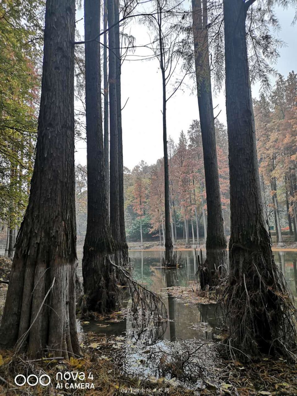 1PPnQ-13n7sRJjbraDSEYSviz64PVKJBD0_Z0udHP5CANUhIsw2VPOBk4dEyHTvE