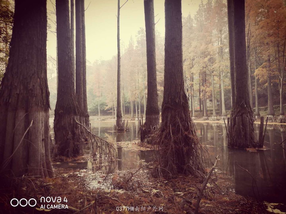 o-AxZBDlZgbMRfsuNheDkPMnoWNdKB2PZx98rF1zL8Y3fpN0I_3yXf2sDkpzOjgw