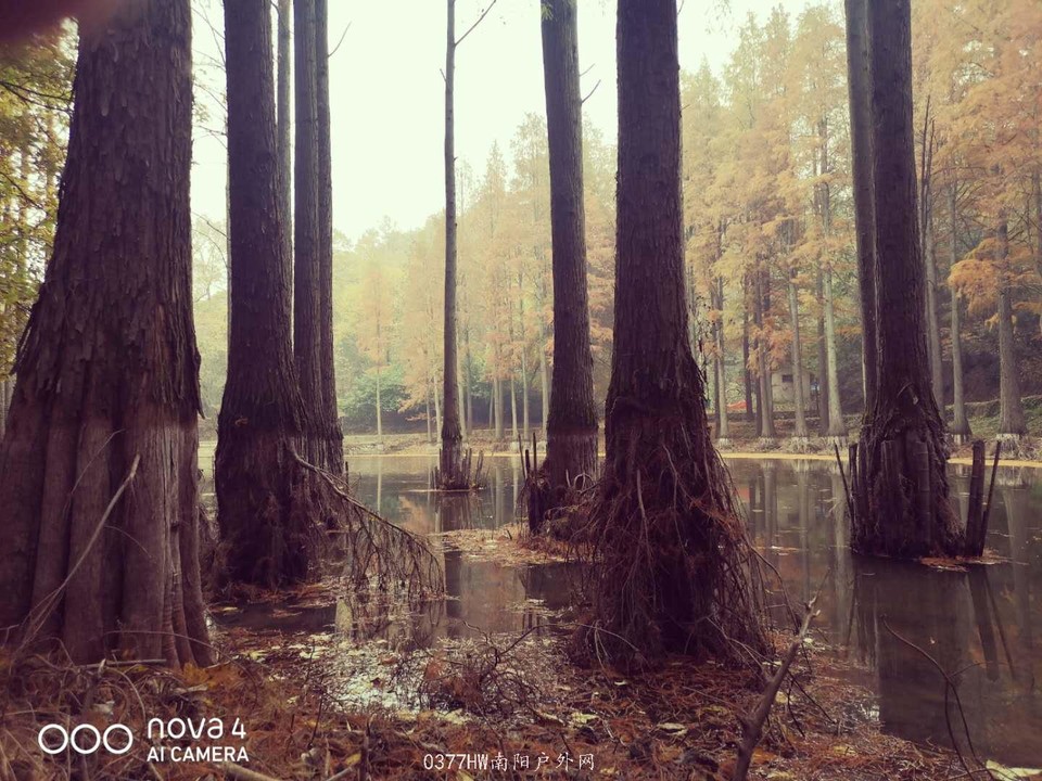 qd0Rmq_RPI-A7g_69Eb8aF-UcVajq29pFBR3tpe0AggSAffhS07G5Xx6DYnLCeZ9