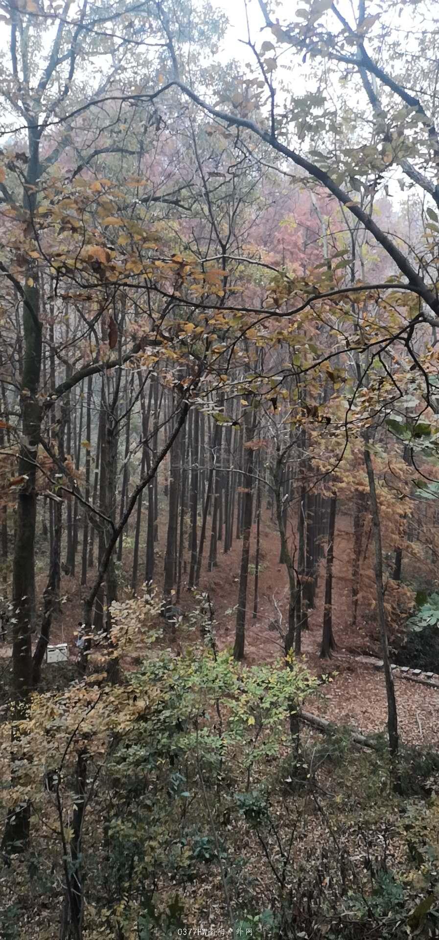 lx6XwcPTZ_2hGa7N7tdFtvdr-015E_QMrp8lyFqp06Kf3GR4ztbyqnR0r8F5Db3A