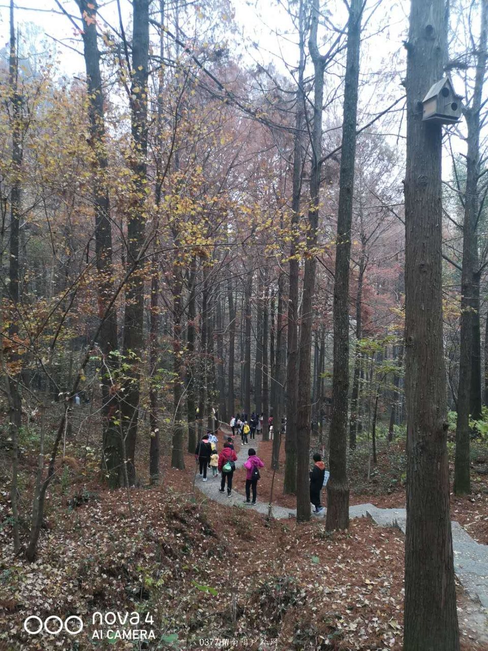 AAfqVVoI0zcVbGI6_xPwqeZRvg1kAaJuVp012bX4qyctkUrxh19jQd2MZdy3_iN0