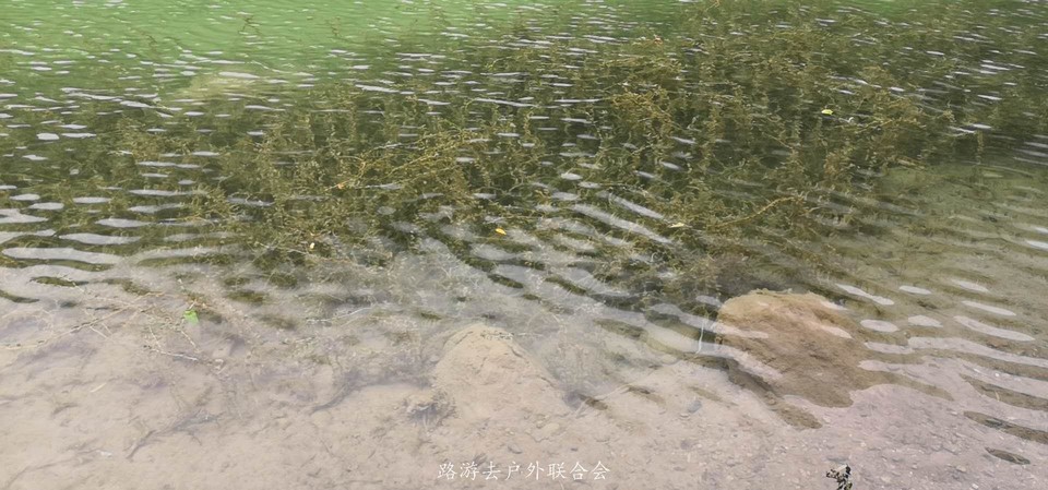 KBiUF5cBPb_w356g4DaXf27aR7iLvAk6kzODFno4vjY6NRq70KL_FarR9TGTzyLv