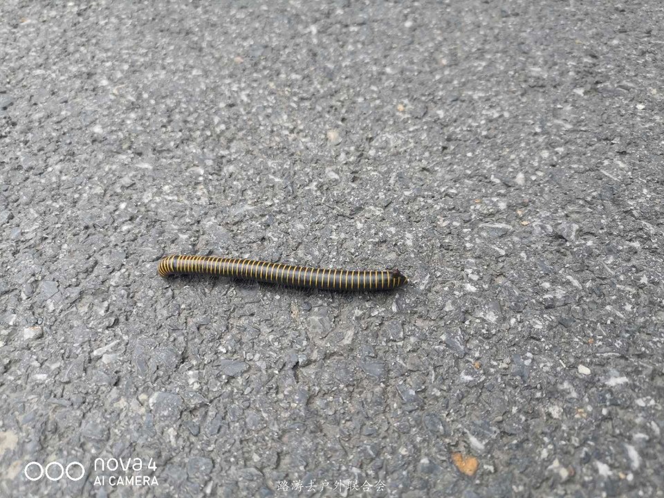 78UJCpL9vQE5i7USZ_o6RspP8bKy7auA5OX6wO8zDnur2uCL-GJWdx2RyY_ZxEjp