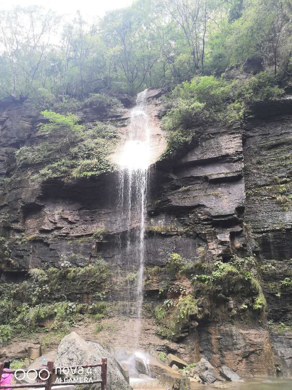 AqNzVnORvR5HolkgwlI2EjU91Vm2haSyDPxDjUXjUK8nn55WONbdDVGr-qDVMxXL