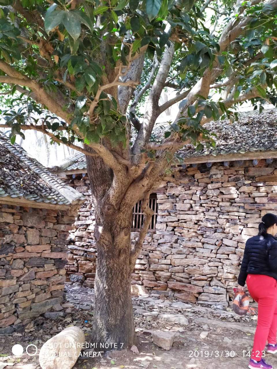 fw-6S5QTZuWJpkSn-_fW8JFuAHSdBQACg3Giii1lCdMvl2v2z9kSqkUpq_KmXyZB