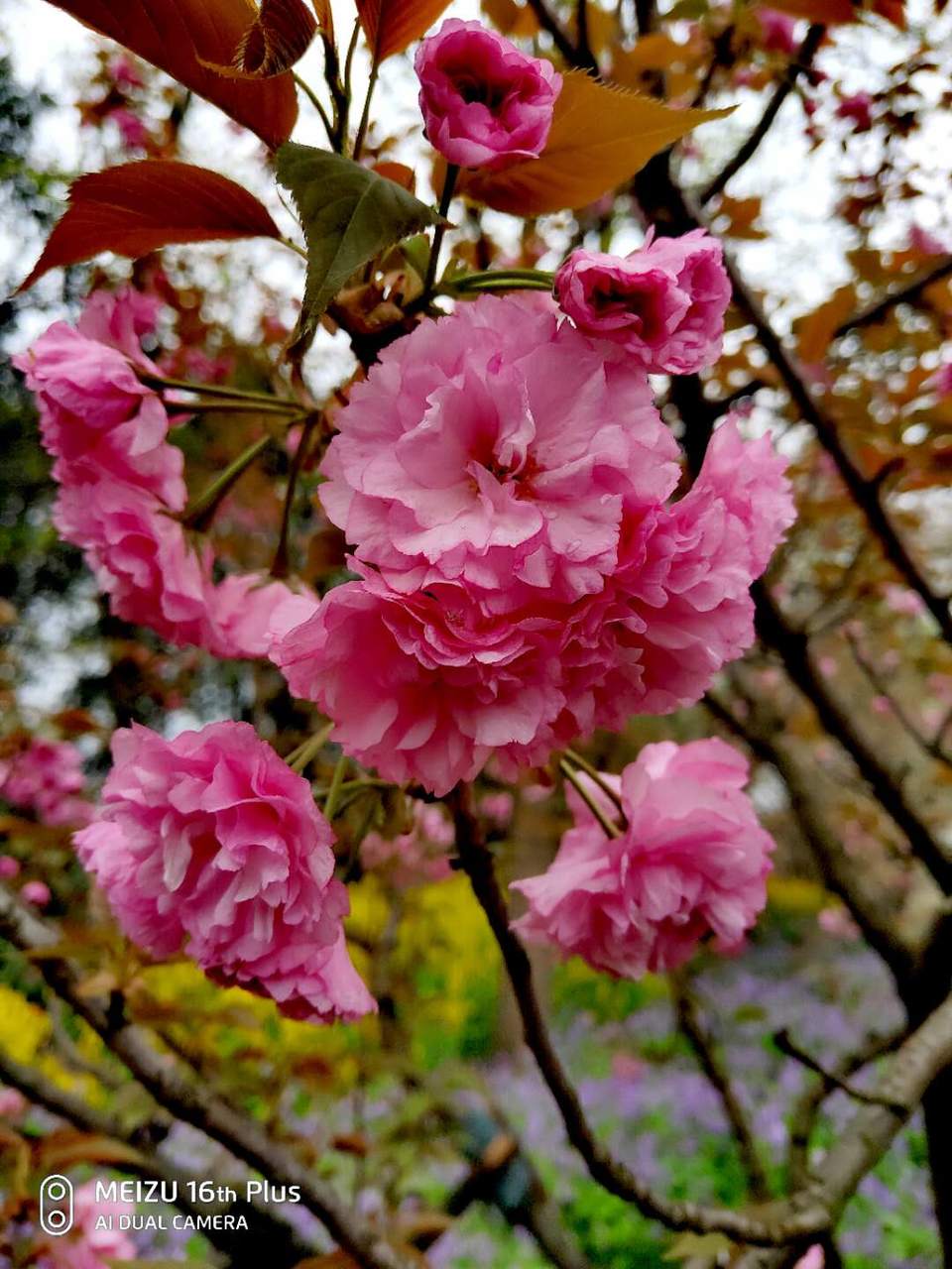 CebVGs6ttMg3cCyb0Q2Ve-wQtCr0xFysCDm6pHUvvUYqhpIzaFeH-cSNTxzkTCfc