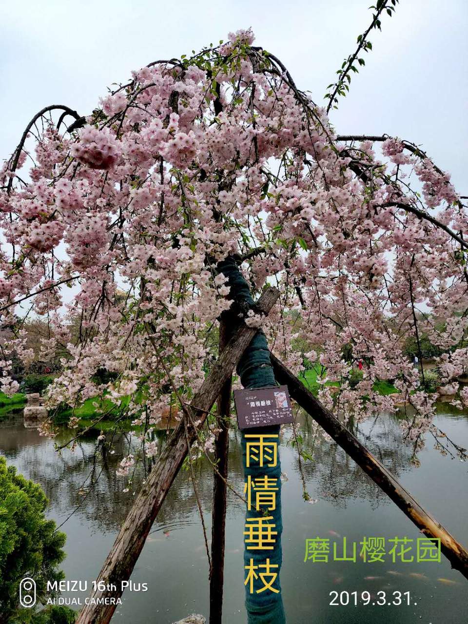 FryPG6JArDJ47WkDfh1RPCDQ_cuvrYukDsuamO0teQrsWOPB61qN54D-mcCEMXMh