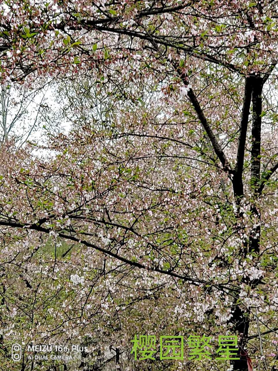 nNUll4Bt6TFy3cE2nwGf_in2w0fDb1Pmerg_tD-CBDmUorDiGTiLt6pMChYXMAGQ