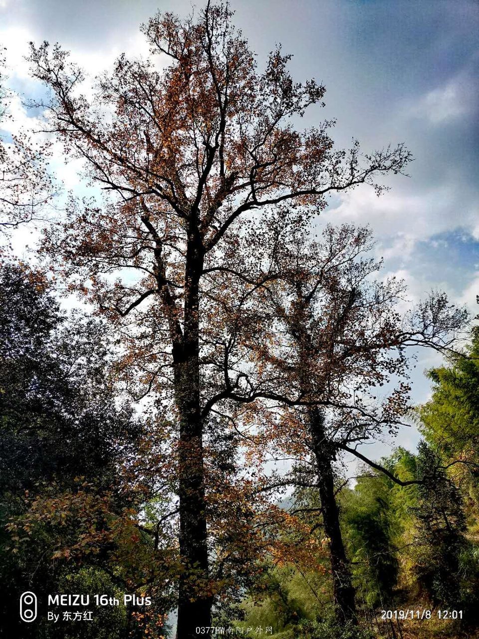 me2QBSdc1dp0fayztr8Hol2dtKy9Zpq7rTMkksqWd2karKYjS2_qoXvjQDmC0U62