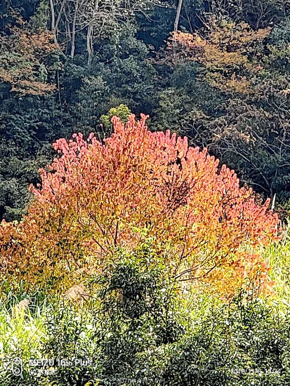 xWUvITmZcQtp2I7j7193d7PPtWspqizrFdRQKAbVSAnOrYBaORt7Y82SLWV3Trxl