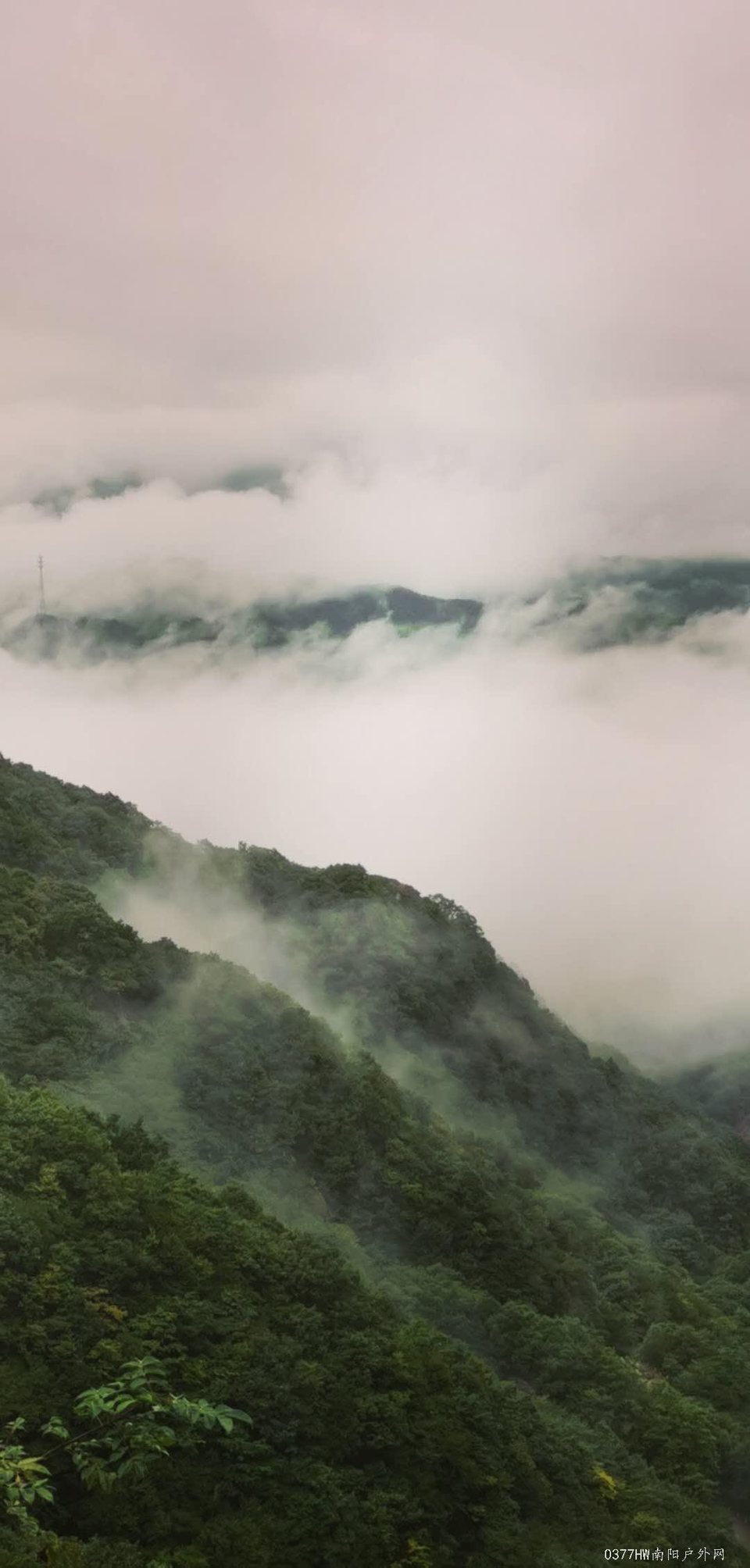 1Sjo-uJqI7WX6CjiGemcsiM0B5l6C-5jw0y2ILpfxnYg2WgJJhRM-88a8WeVg5GU