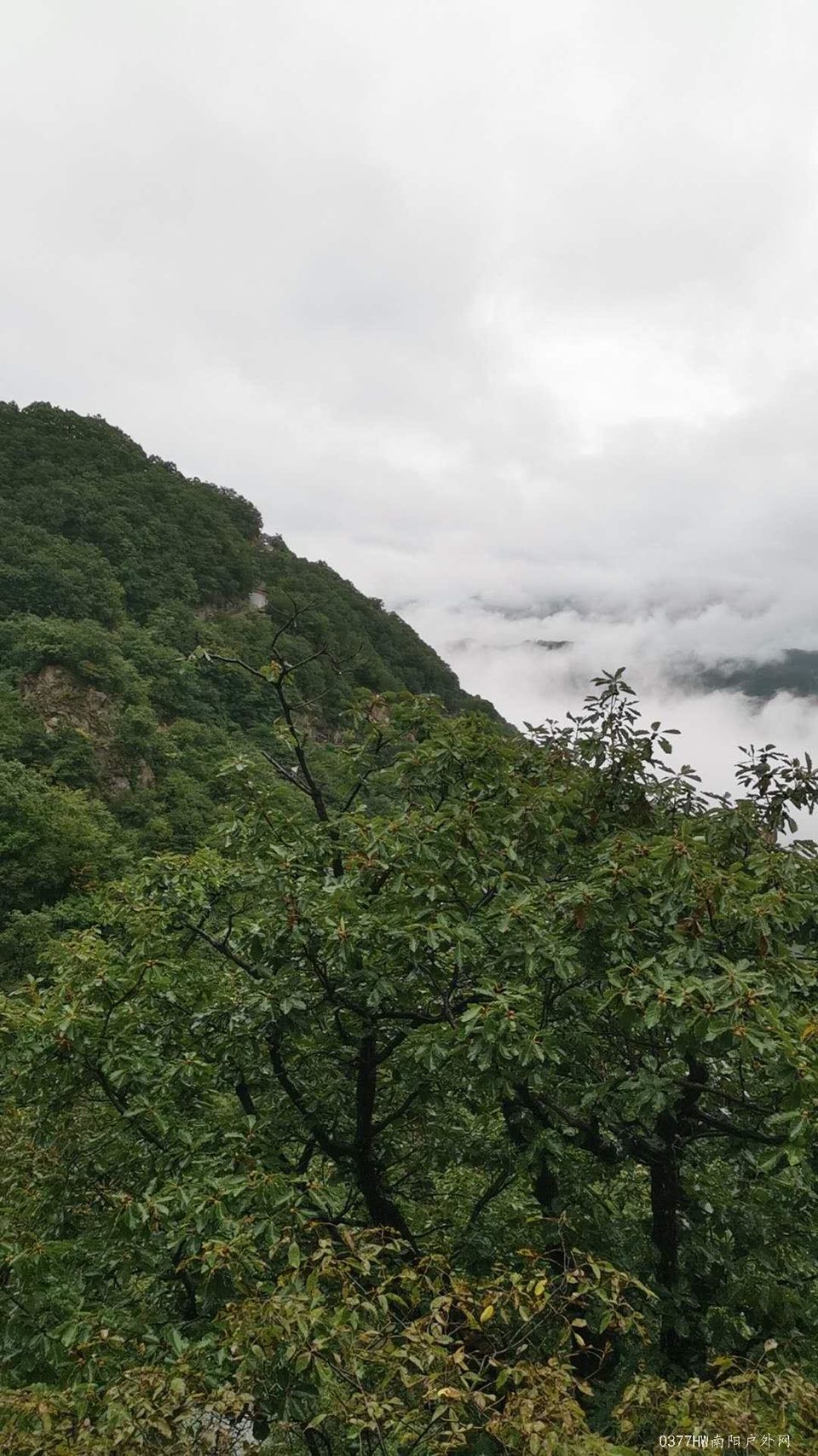 hc-TeT1EmSQzMRin8sTIwUGYx18d_BtBQbpmfq5Y6t7F_g_7atsOsPYLDtgfD0XD