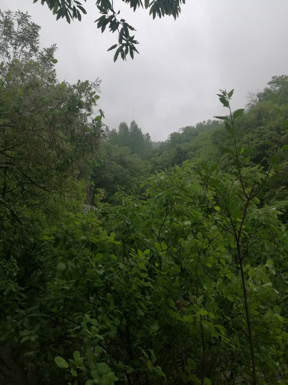 IMG_20180421_110219_1