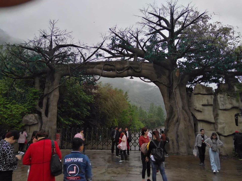 mmexport1524301549596