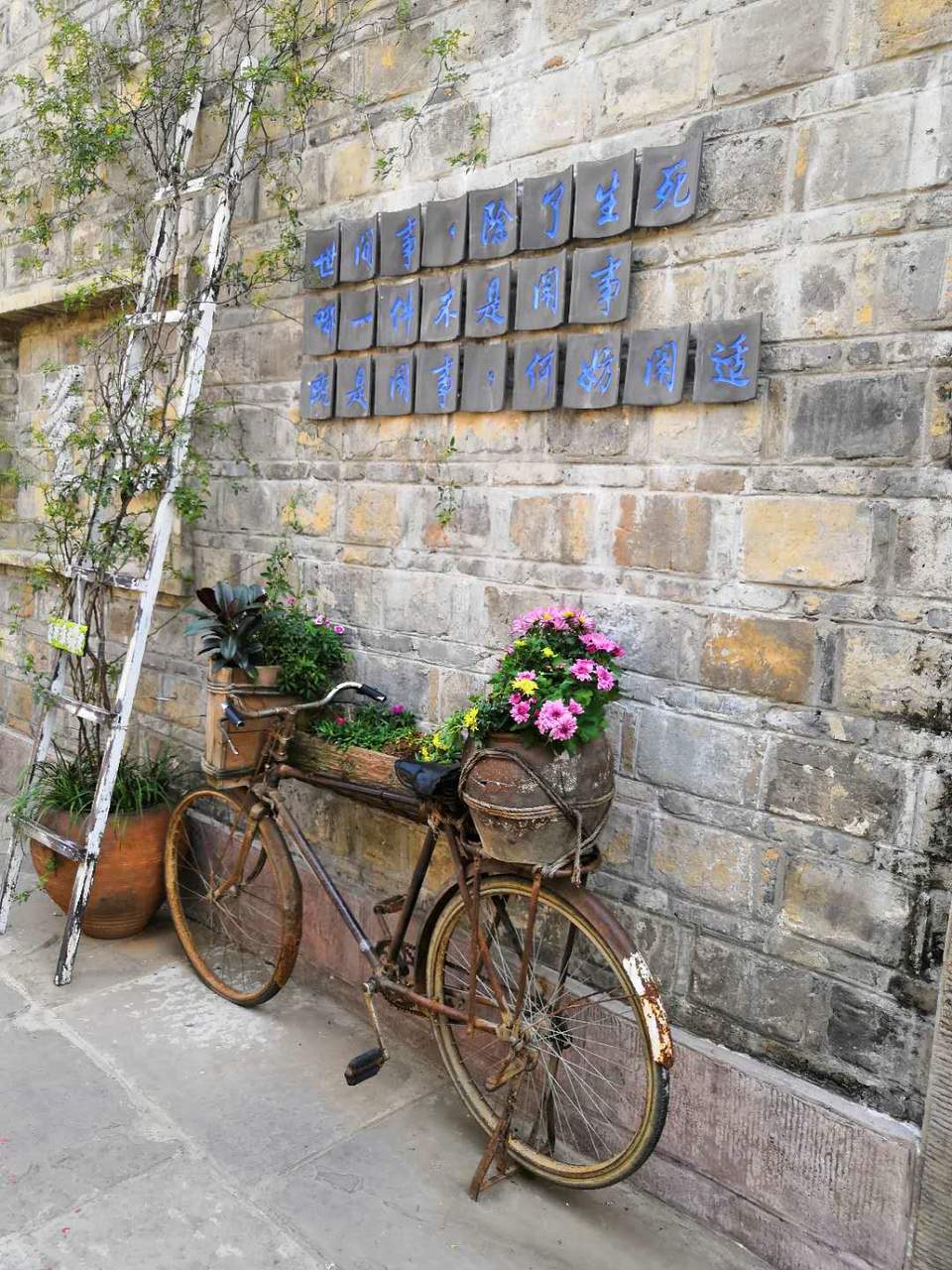 TwwDquIUY8Y3A43LXvkzAXBuyO6pxObKQ24ihnRuuE4nXWEWWzIiN_dLao5XB2Ym