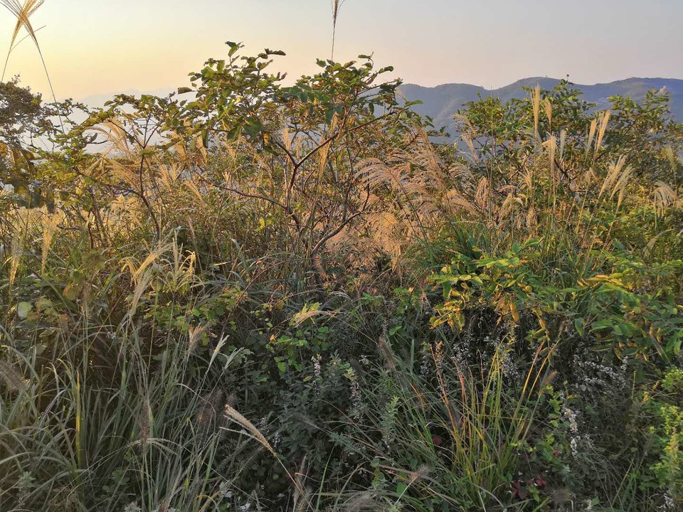 AY0SmbW7Bfp8ntpg2-HXz-C6M_k38rJ5OkFCpdDrgJUc5Ht2W0p5aDLEPcFaaSk_