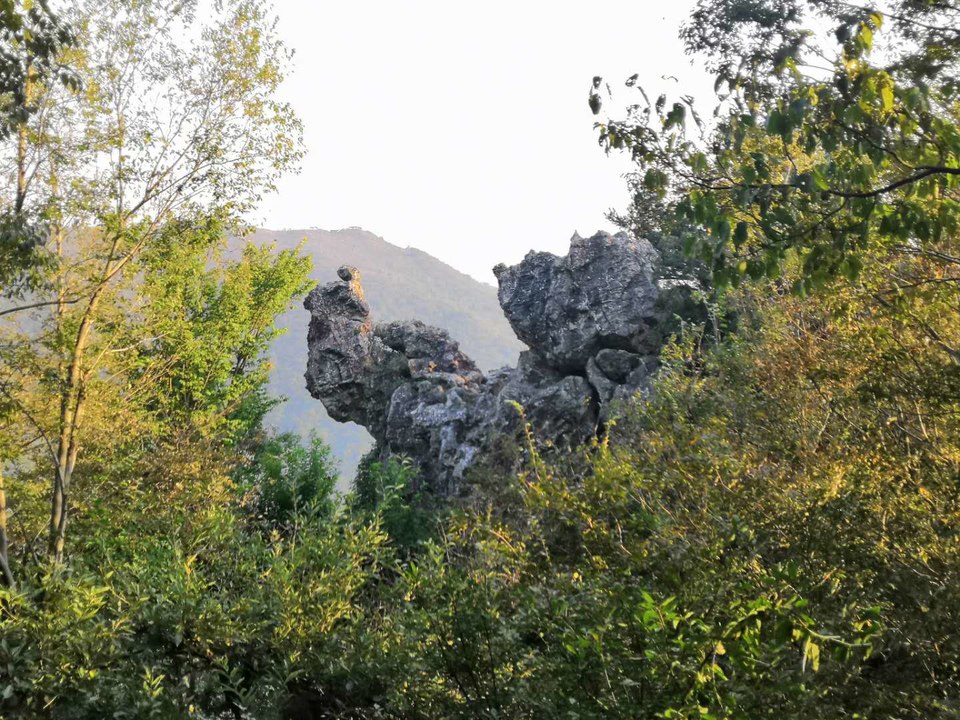 4HUvMD8EVd-mBi8hIa-9-to4o2KXnuUMbc7vlnSv9TOT2Bxvb7EtWAXeOJ3iR5O2