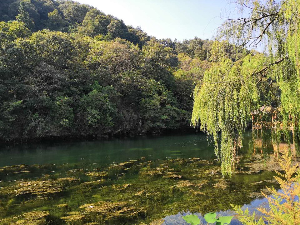 NZzFKKojNi3CnHCwQtuFgvBHPyqIjYL0IGXUwyz5iuYtZpeOP30jPNCquKwHBgHv