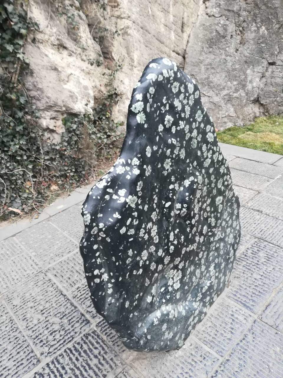 7P6ZOZYzaEyQ2oyclS_Y9oMIQL8teZd1asbU01UAuV1w_evELHLMaz9LQS3iTQUr