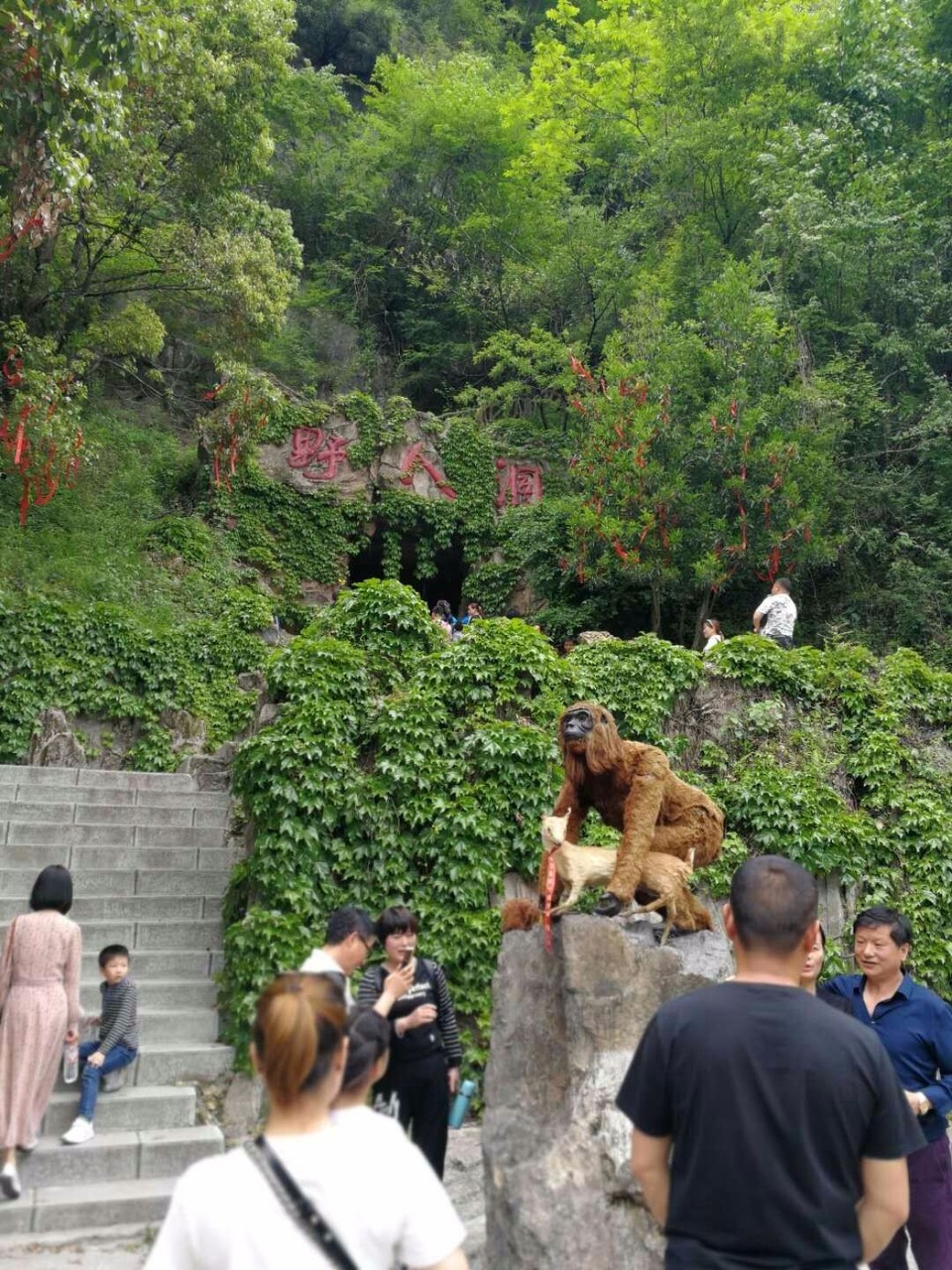 mmexport1525080867463