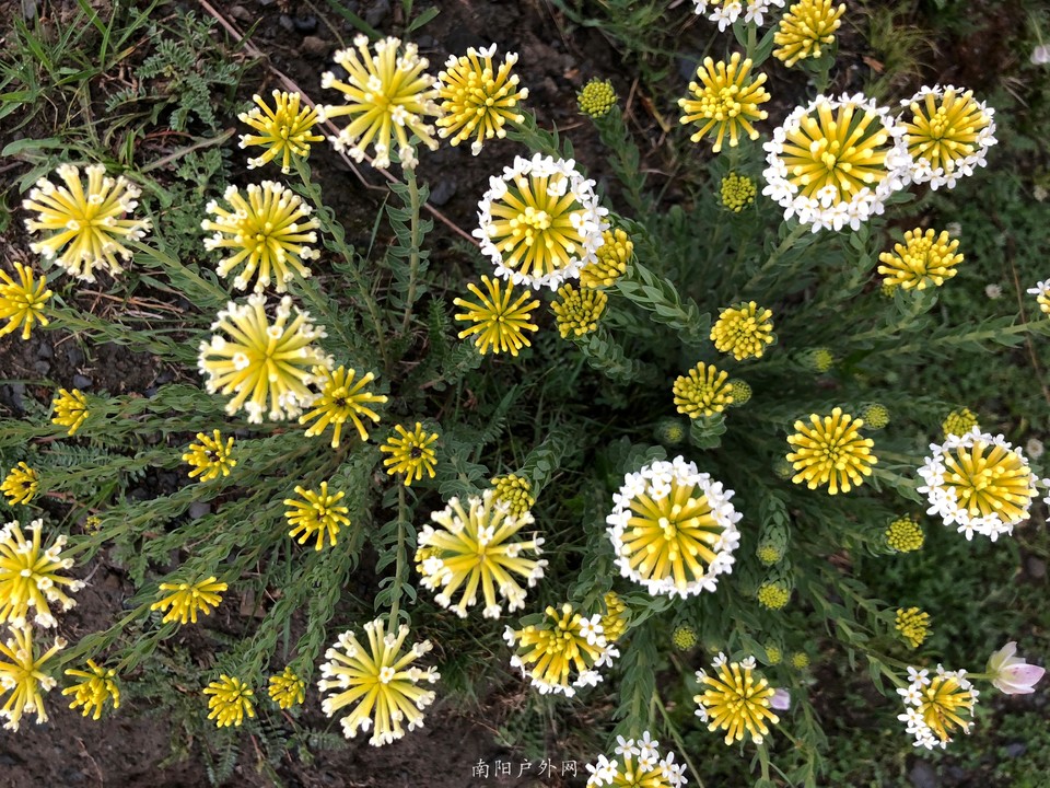 3E69DC04-EE69-446D-90A5-B54981CA22F7