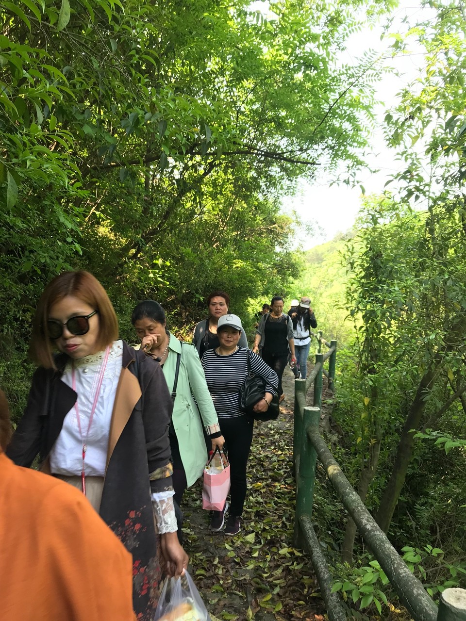 F29BD623-609D-4454-9FDB-D5D9E39C62A4