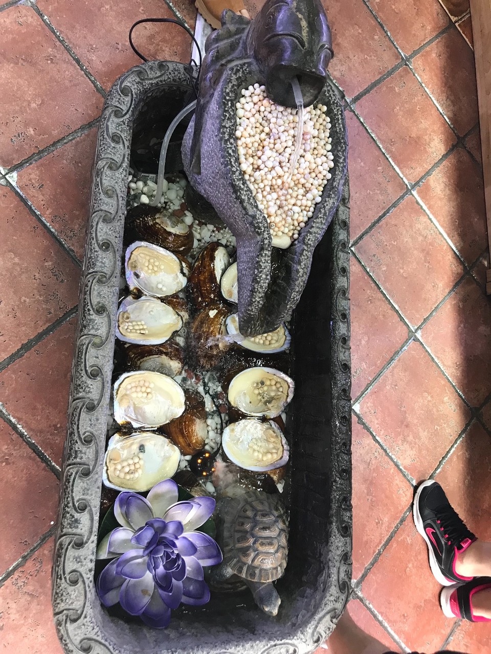 CD3CAF1E-C83E-4FC8-A600-C541FE7D0138