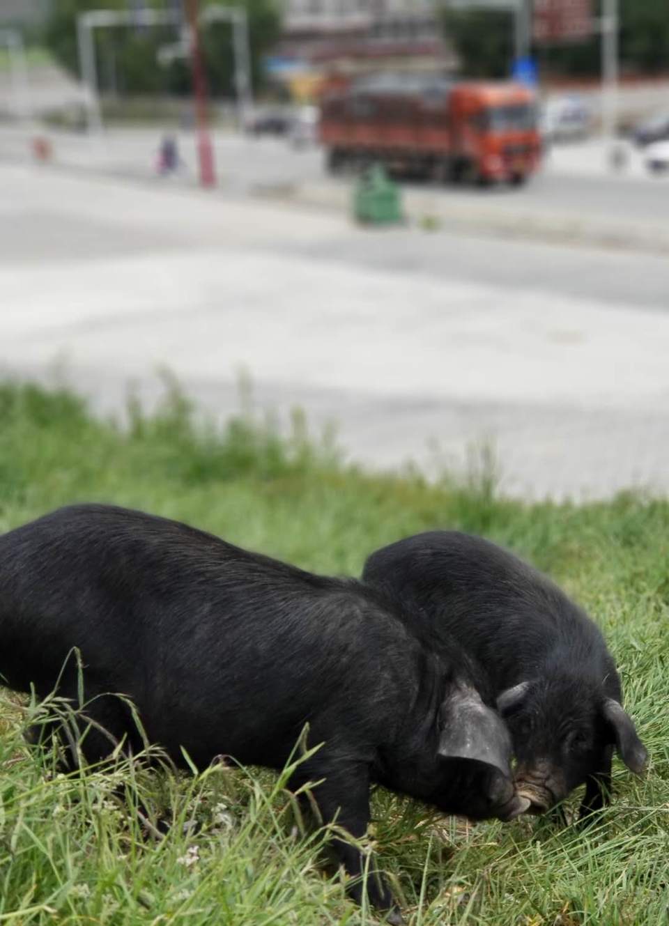 wg6CTs5DOoOUYEuQjV8-LEclR81lw-TX1FVSq8GHBPP7WmvLlRgqazyh4elMebmi