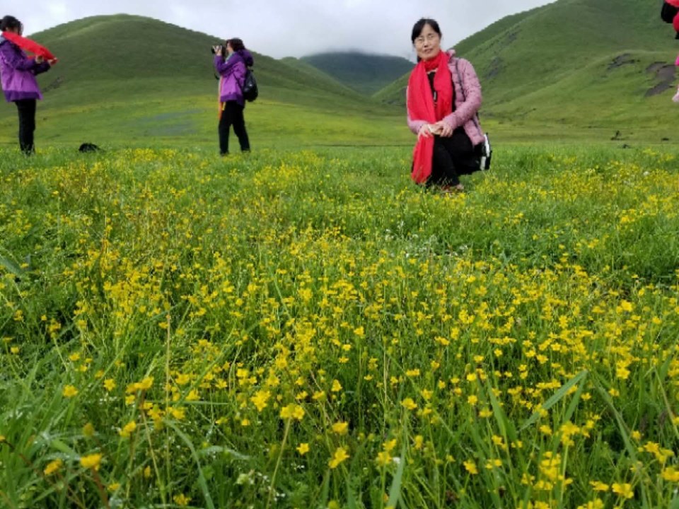 W9kz6HW-bVEvRQq_T54zQTIM83ZpCb_r5OFV4Wj07VqwaxgW-LLdV97Ch-K5ChEE