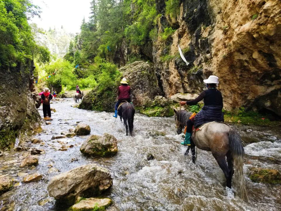 su4Ilm2XlTcj93tjbeaCVRhUYjnLbuRzA7yLJ3LSEYmzrGYHwqcxsYm7luhFIaaR