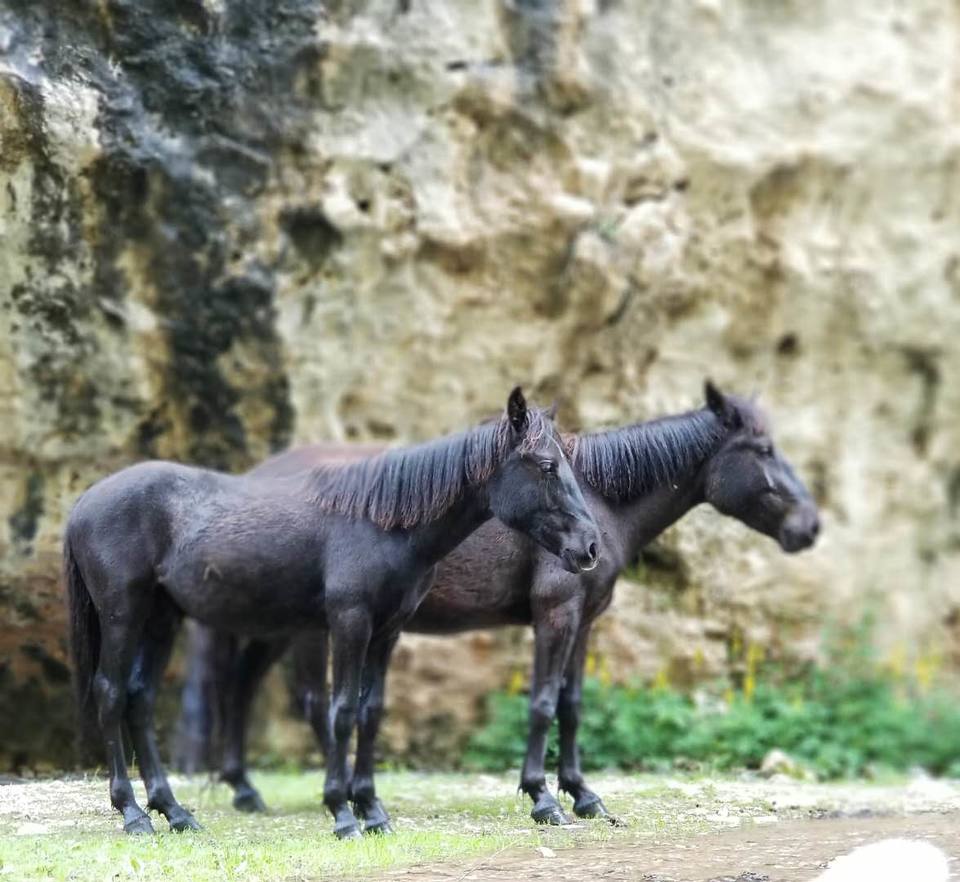 Bs2uaVysfTi_b_ADLOApoBQd-T_CdS-LDhrK50ppSiKjyHDKvmXZ74Ia7koP5TTx