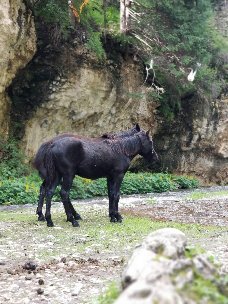 3Q9LhYoaEKi_SYA0F7qhn6PUjjDdAb3XqxguPPUfLBWEajyj8uBnbGHtacefvd5z