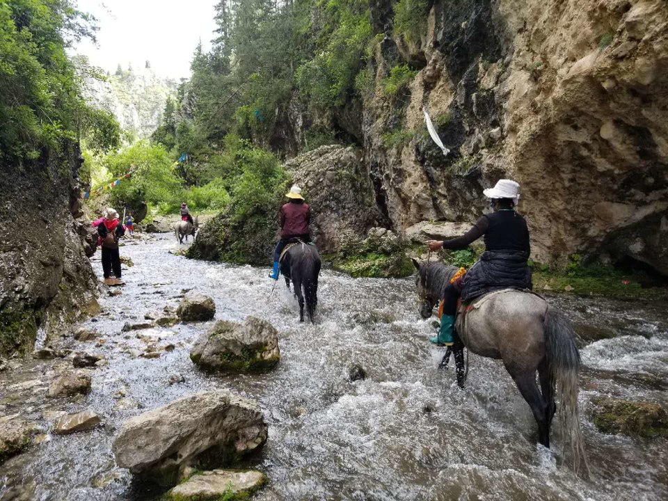 9NHPYqLDC8JRZW4J-SMWl3e4KfQfFsOZphQYd63WVCAYfgbvBzPf-BX4hls1YBws