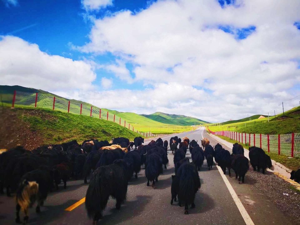 5ghlnTJuZHDhPuF1cc-zfTuxKG_yyB808Z9ea7r8zMnQ3ZtWrxMwfZWDduQ1CEvn