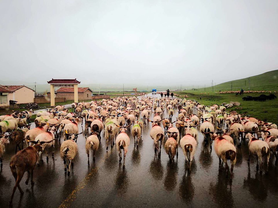 27F7RwVczFEijO1j2tL0JatMEXYEuCpJdXyPKA5Xk5kRAw6Apy33tUP4OvLWJ5Tl