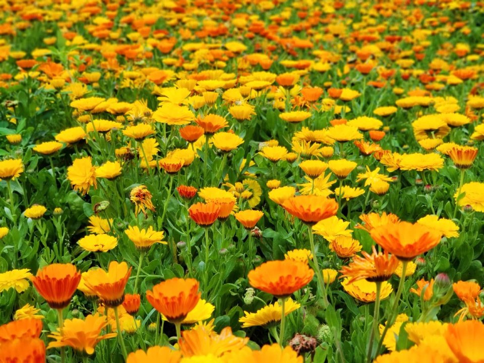 mK5G8ZqjHXLyyt7tdlXHAaSv8OpxY6bX3QZSxRNweIlBh6w_B6xi2K80bao_N0Lo