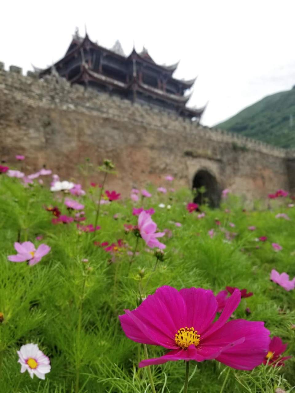 3Ys0G2mtLOLCju1JpJpb-0xPH9dW7BbxXmIN_Nenj25MvhIjJRo-_h_pXeGi8G4y