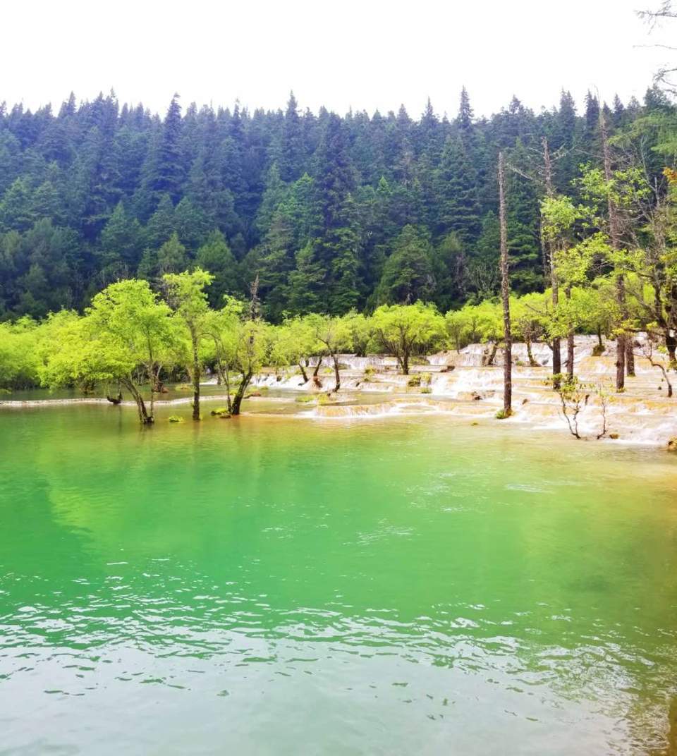 LKsiUgjQ6EUjUNr_Ib9qb4a3ykBVqH9xrbyyS83mtiX8pfeoon0JyVVBzPn-Juuh