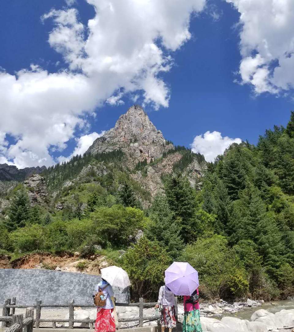 2c8ztpk-l48VYWXOILQmTpcmNGf68jVi__x1Z1e24gh7RuNdJGuHx6mTc8GC58mn