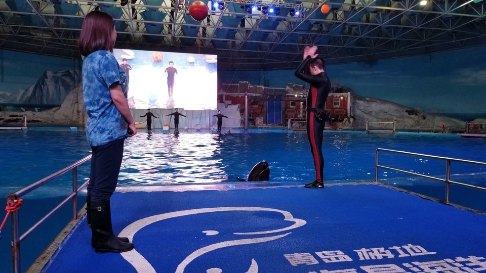 FSpxwug8e3Cxekusgo3DEF19zsFVCg_kv4HDJ0HTO0CuZNEuZXDDNlBnUab9ffli