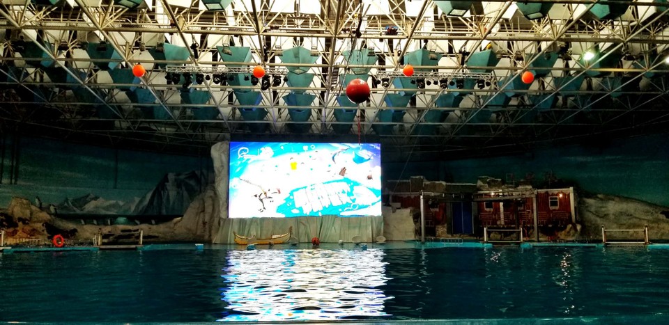 1XVA6ffYDKnBokQjH50elkMhZX0U1teK24lV5oevwMsXxzFg0xn8XqrSEJqCwT8Z