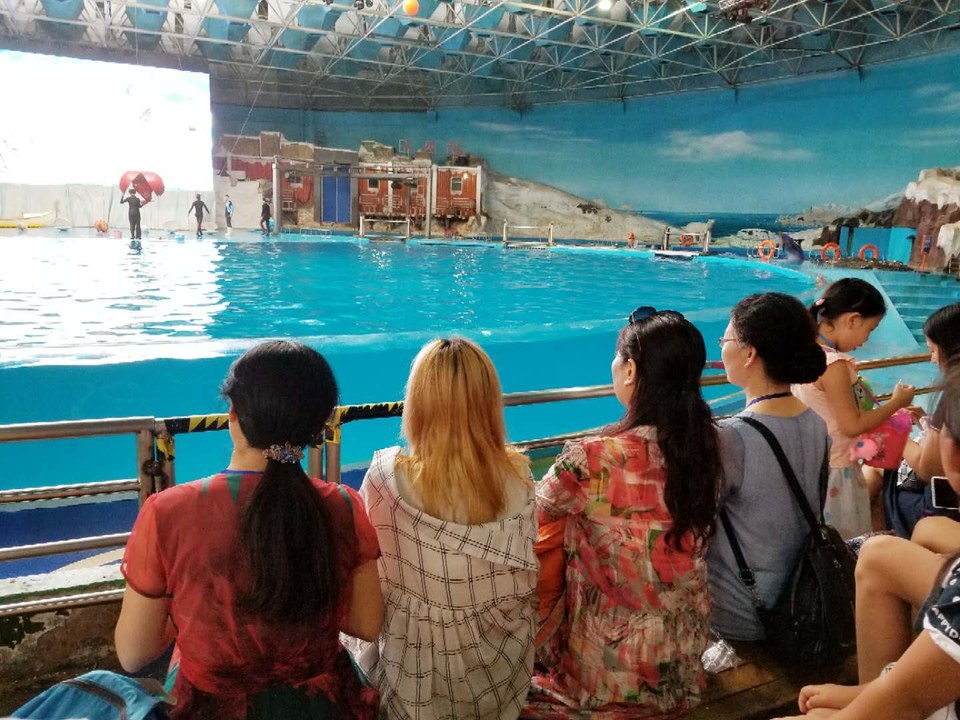 NAvwqUK_o2qcqLmcbsMN8ekbozI6y_p65FXSk1P2j-QIeFEWK3mG2x-zAAlzAQzA