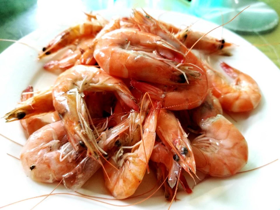 ntExf9Wf9_y9pTJwsWpI5PnDJMK99mBEqLNNxsoadvJXE-aH1OW8MRSDTs6vu0Ts