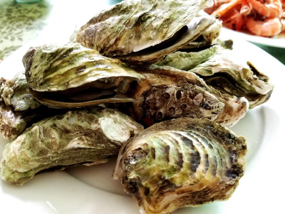 gidRk_52wNbRrPf5m7GOiP2IwWtkCoyJmh1mH04v8WZOYB2ldC0knnfPl365qaY4