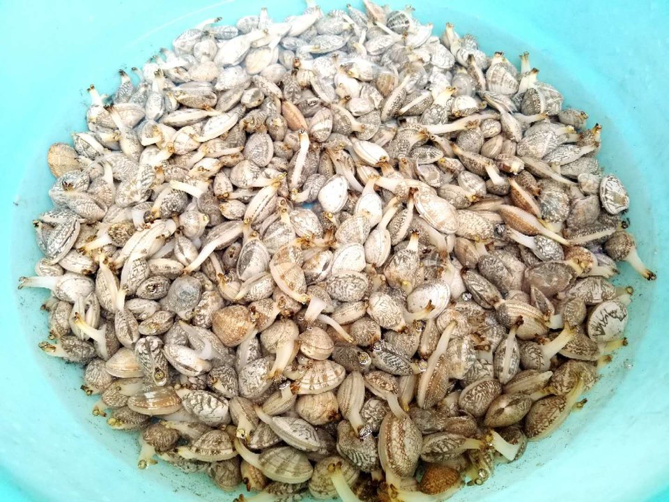 S023DJZpEEi57a76c17OLi6m_Inb7qWASyltdxzBefEmVcnyI4AAAbUPjskXdDZ7