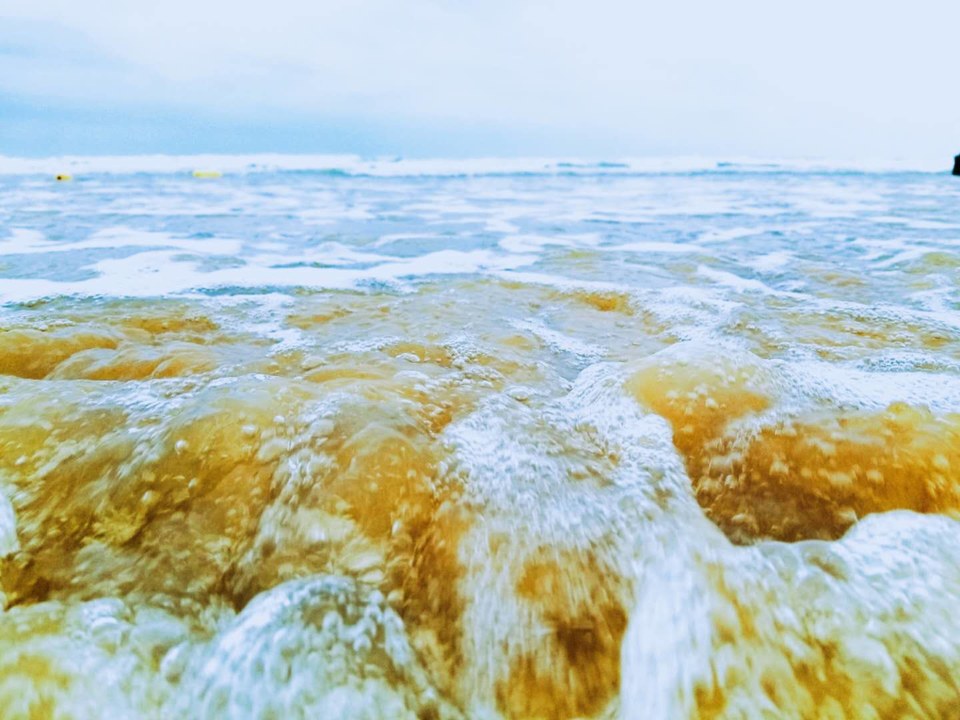 vT2joeN1i3m6PQsNJ16tmOJ4CkOWetz0i4mO_uzZOh3dIAx0O-Lu1EvU8HtLfXa-