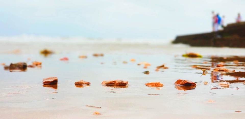 WxxTXpVRsF1x7ZWLvYuDrpGxAyLqSxrAF9zOMksvsWovMaSqkSF3JXFpLokU8qUK