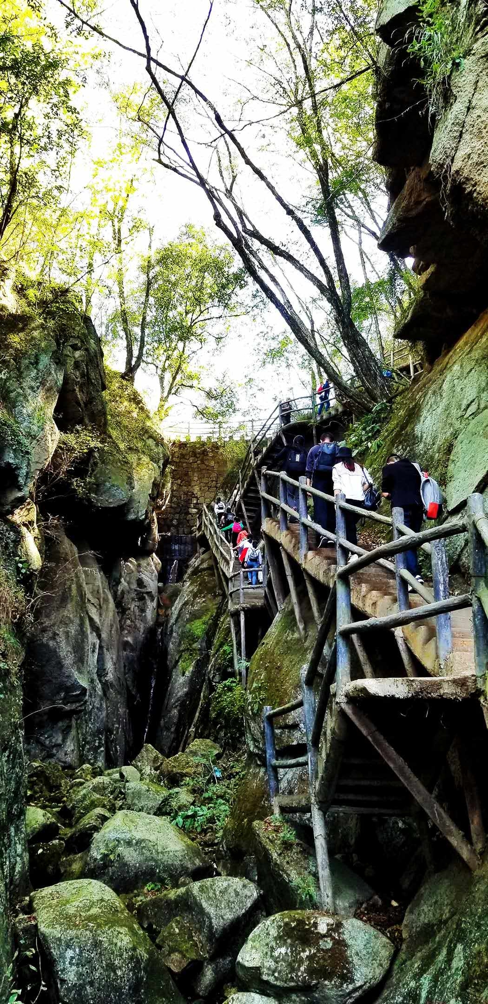 VCyBw9v7-Bt4DrcncNmRAN5hvNJjm0SS1NyUbCsxiXoya23GKmTj9z-2heY6Jgg5