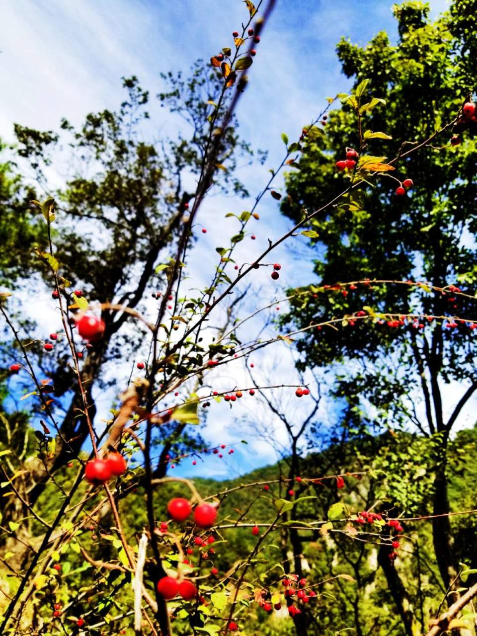 wTs5hSIus8UyGT6N3j7gJk27noWLUKbzNkc4cUXqhWBmozD0Xdxn0tKJscf7vTtp